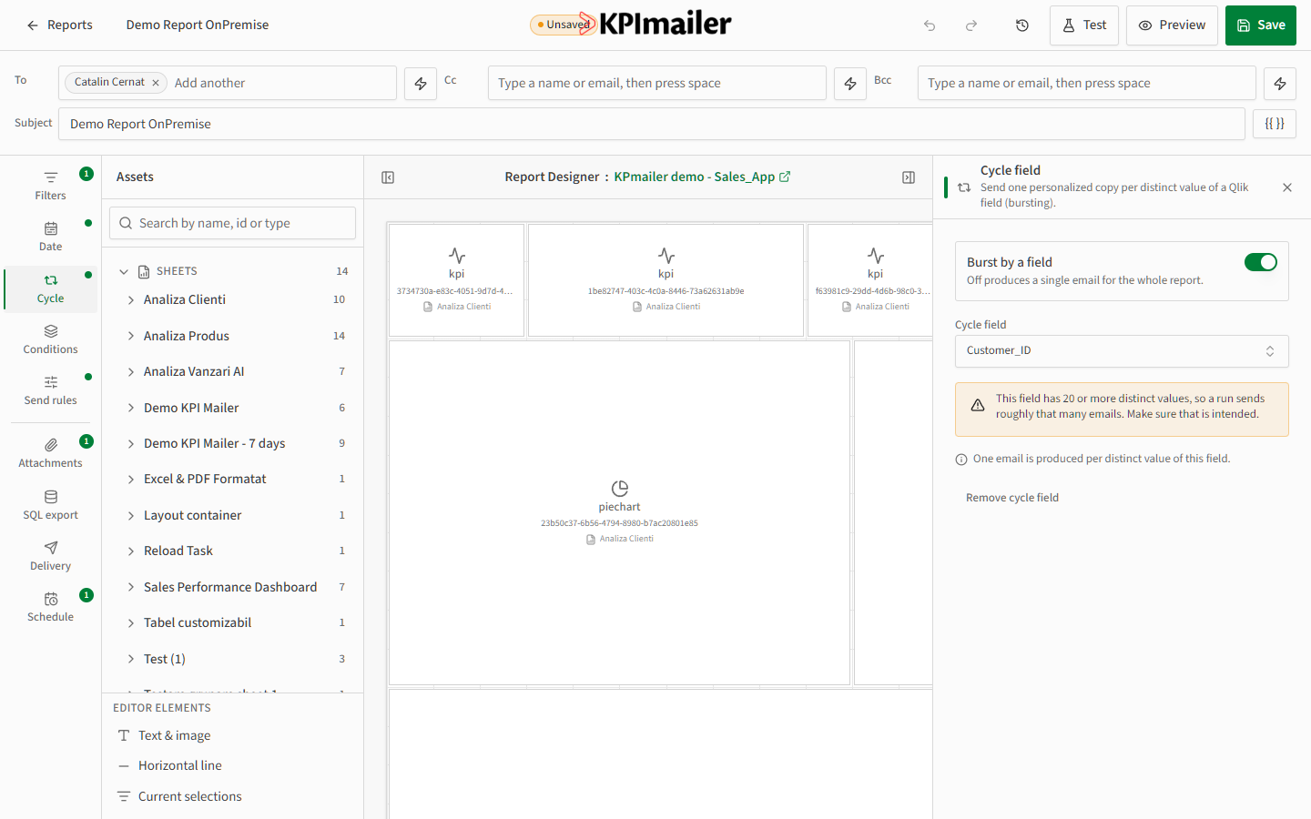 Cycle field panel with bursting enabled, a Customer_ID field selected, and a warning about the number of emails it will send